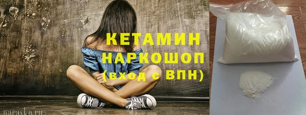 молекула духа Бородино
