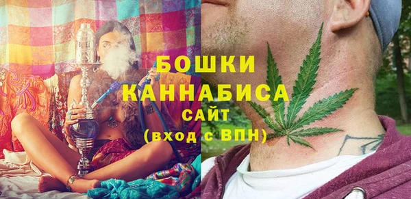 гашик Россошь