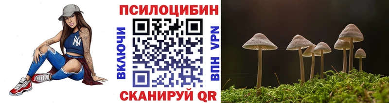 Псилоцибиновые грибы Cubensis  Венёв 
